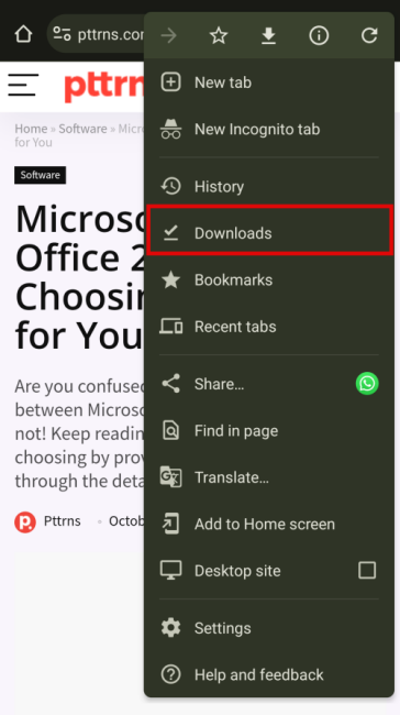 Downloads option
